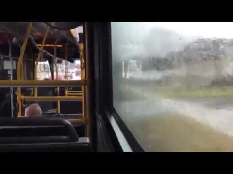 TTC 188 Kipling South Rocket - Lake Shore Blvd To Kipling Station