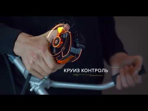 Миниатюра изображения товара Триммер бензиновый Caiman WX21 Promo