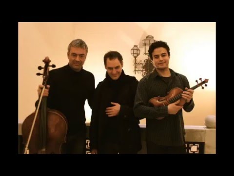 FRIEDRICH PIANO TRIO - Enesco - Serenade Lontaine (live recording)