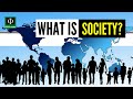 What is Society? (Society: Meaning and Characteristics)