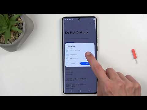 How to Use DND Mode on MOTOROLA Edge 50 Ultra - Do Not Disturb Mode