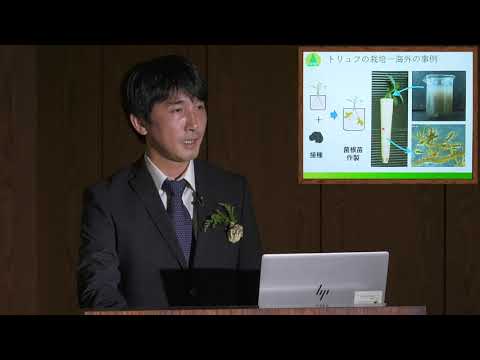 園芸 黒ヴィテロットポテト、ネグレス、中国産トリュフ