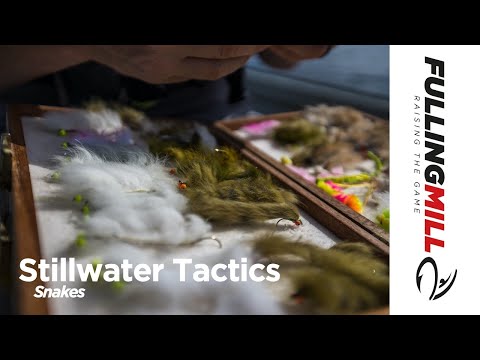 Fishing Snakes on Stillwaters with Rob Edmunds