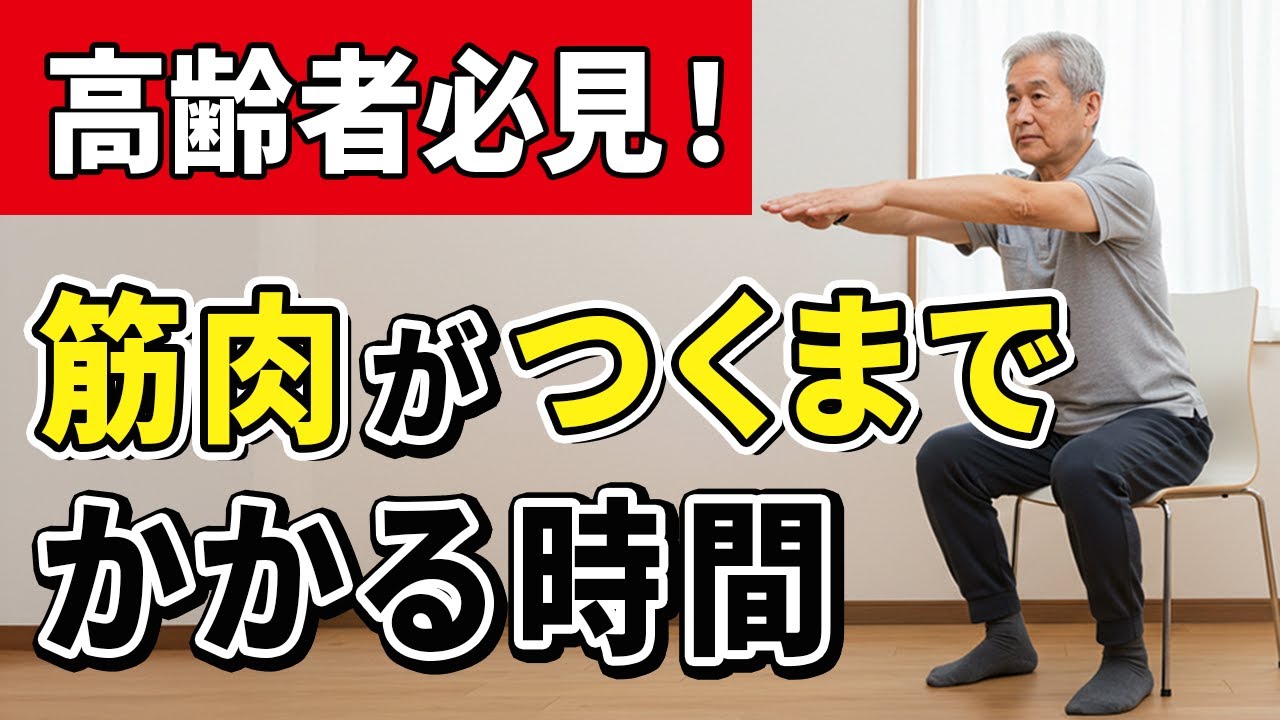 【シニア向け】筋トレをして筋肉がつくまでにはこれくらいかかります。