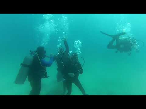 Open Water Training (Part 2) PADI