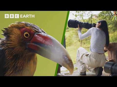 How To Take Stunning Wildlife Photographs | BBC Earth