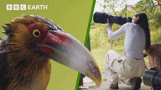 How To Take Stunning Wildlife Photographs | BBC Earth