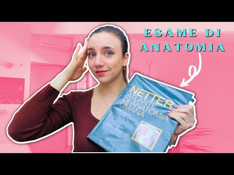 COME STUDIARE ANATOMIA - Consigli pratici