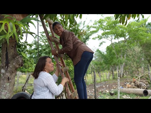 They swore to leave each other; today they go shopping for bread together.