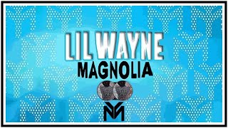 Lil Wayne - Magnolia Remix (Music Video)