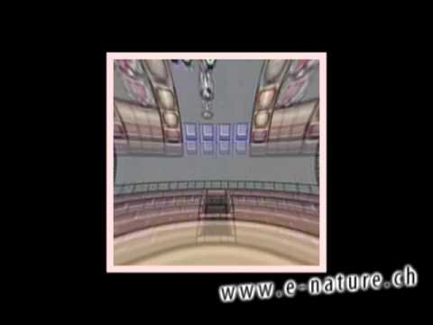 The Legend Of Zelda: A Link To The Past - Light World Dungeon (E-Nature Club Trance Remix 2009)