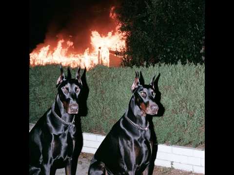 (FREE) FUTURE TYPE BEAT - "WILD" | TRAP TYPE BEAT | FREESTYLE RAP BEAT 2026