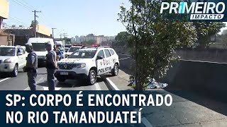 Mulher é encontrada morta no rio Tamanduateí, em São Caetano (SP) | Primeiro Impacto (17/06/22)