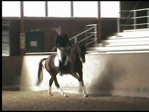 Laetitia v. Lovelas x Davingnon