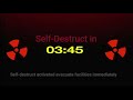Self Destruct