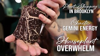 Repot With Me | Shopping for Houseplants in Brooklyn + meeting Pamella P!