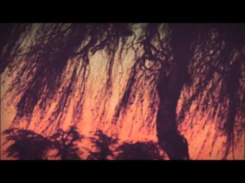 Video thumbnail for The Longest Year