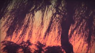 Katatonia - The Longest Year