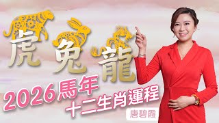 2026年丙午馬年 十二生肖運程(虎,兔,龍)屬虎的朋友今年三合太歲 正財運偏財運相當XX | 屬X破太歲 小心禍從口出 | 屬龍的朋友今年凶星超多？千祈唔好XXXX