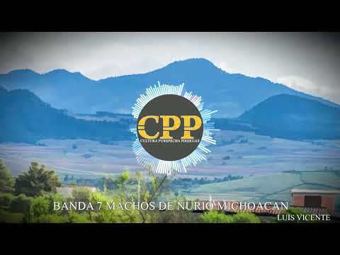 Banda 7 Machos de Nurio Michoacan #pirekuas #album