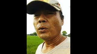 Download lagu Uro uro KEMBENG KEMBENG edisi PETANI NDESA mp3 Download lagu Uro uro KEMBENG KEMBENG edisi PETANI NDESA mp3