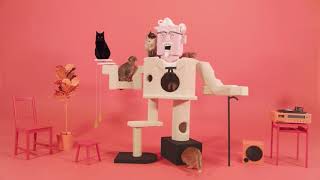  Colonel Sanders Cat Climber—July 17—Live on Super Deluxe