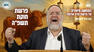 השיעור השבועי פרשת חוקת תשפ"ה - הרב ברוך רוזנבלום בהמחשה מיוחדת על מצוות פרה אדומה !! שיעור אלעד (הרב ברוך רוזנבלום) - התמונה מוצגת ישירות מתוך אתר האינטרנט יוטיוב. זכויות היוצרים בתמונה שייכות ליוצרה. קישור קרדיט למקור התוכן נמצא בתוך דף הסרטון