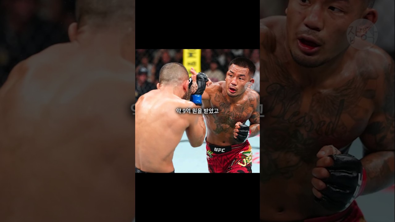 UFC 331 조슈아 반, 최두호, 유주상 선수는 얼마를 벌었을까? 파이터 기본급 대공개