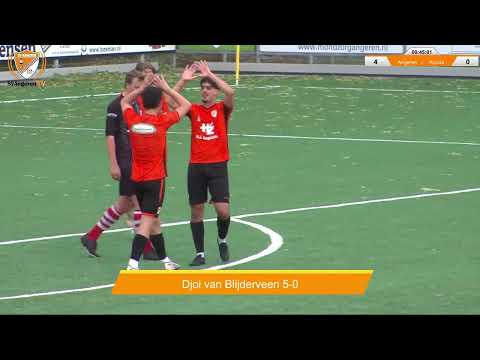 Samenvatting Angeren - Activia