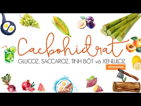 Glucozơ, Saccarozơ, Tinh bột e xenlulozơ | Início 9