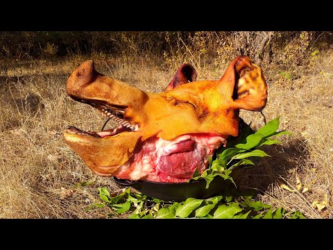 , title : 'Что приготовить из СВИНОЙ ГОЛОВЫ? Pig's head recipe. Cooking Pig Head'