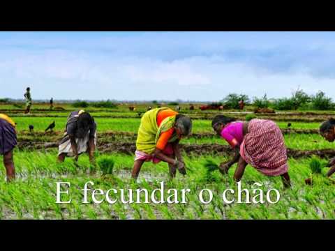 Milton Nascimento Cio da Terra HD