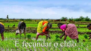 Milton Nascimento Cio da Terra HD