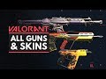 VALORANT | All Weapons & Weapon Skins