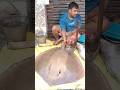 stingray fish cutting |stingray fish cutting skills|stingray fish cutting Kolkata| 40kg fishstingray