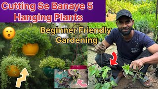 Hanging Plants Cutting Ka Asaan Tarika | Indoor & Outdoor Hanging Plants