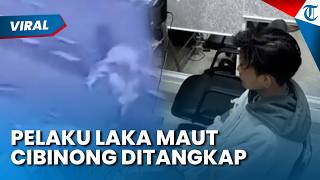 PELAKU LAKA MAUT CIBINONG DITANGKAP! Berawal dari Lawan Arah Kini Dijerat dengan Pasal Berlapis