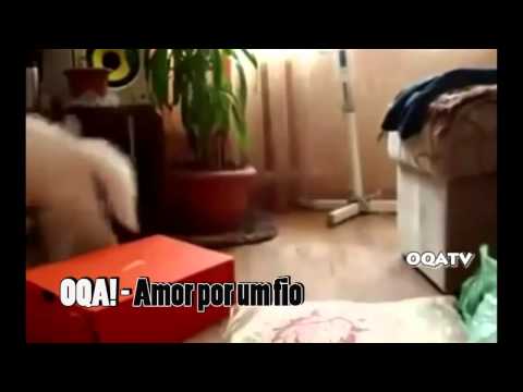 briga de Marcelo e Cassio bbb 14