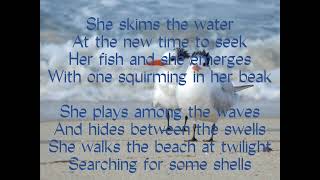 Engelbert Humperdinck - Lesbian seagull (Lyrics)