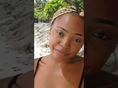 Me Tam Ma Chén By Bobby Dogg El Flaco