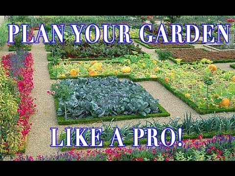 download lagu mp3 mp4 Companion Planting Garden Design, download lagu Companion Planting Garden Design gratis, unduh video klip Companion Planting Garden Design