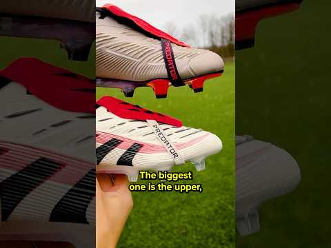 The MAIN differences between the NEW and OLD Predator