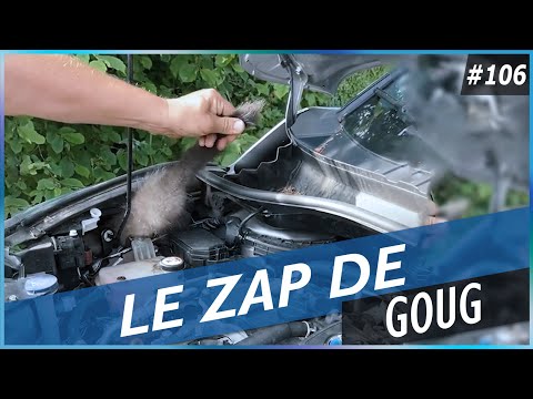 LE ZAP DE GOUG N°106 - FUN, FAILS, CHOC & INSOLITE