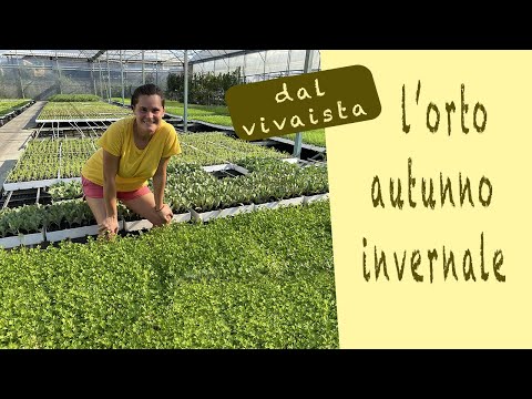 What to plant in the vegetable garden for autumn - winter 😃 💪🏻