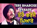 Bhai Jagjeet Singh Babiha Tere Bharose Pyaare