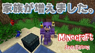 【マイクラ】パート29 『ジャングル探検』