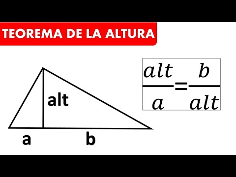TEOREMA DE LA ALTURA. EJERCICIOS RESUELTOS