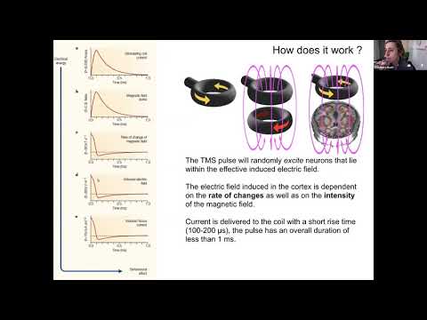 The Neuroscience of Space, Time and Number - 5