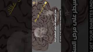 كلما زاد وزنك🧠 نقص عقلك 😱