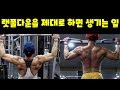 랫풀다운과 풀업의차이(작은 생각의 차이가 운동을 크게 바꿉니다)